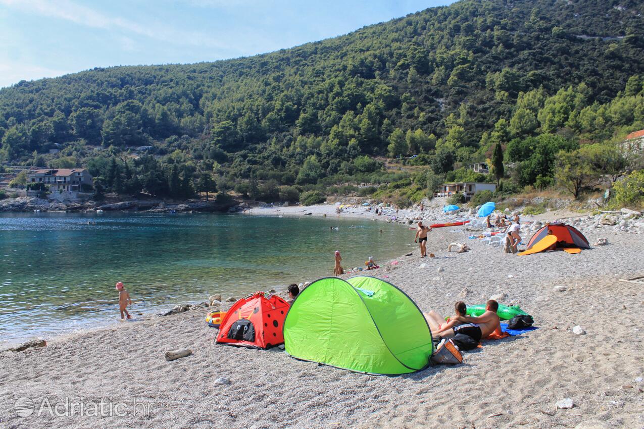 Spiagge nelle vicinanze - Appartamenti con parcheggio Zavalatica, Curzola - Korčula
