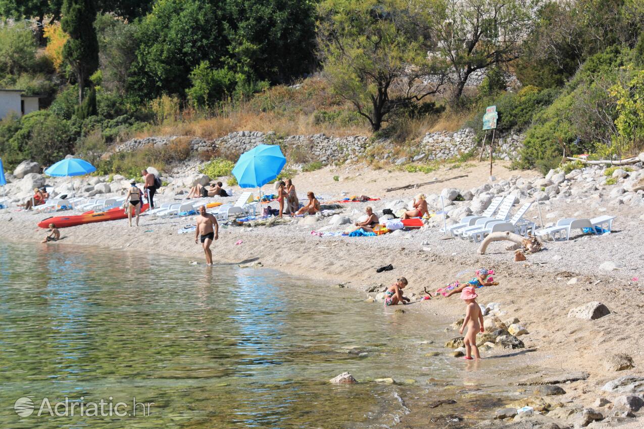 Spiagge nelle vicinanze - Appartamenti con parcheggio Zavalatica, Curzola - Korčula