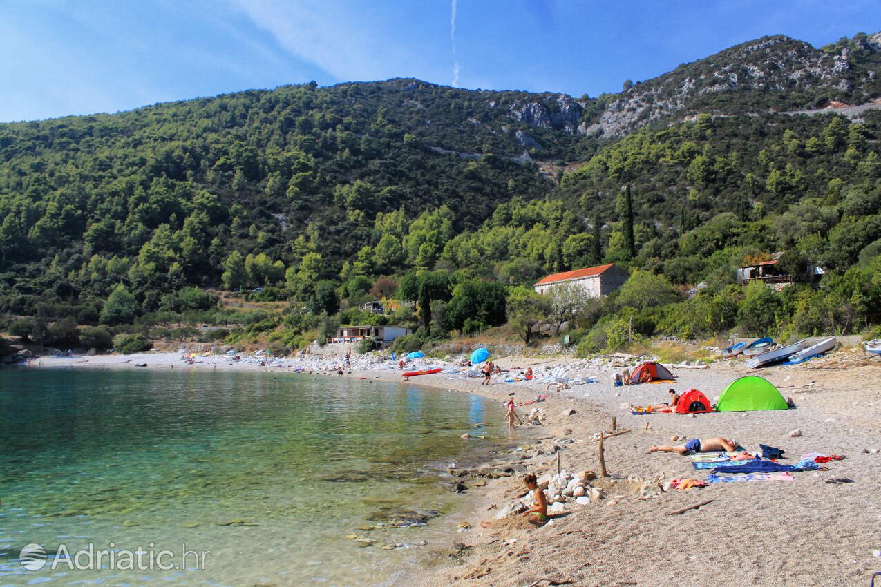 Spiagge nelle vicinanze - Appartamenti con parcheggio Zavalatica, Curzola - Korčula