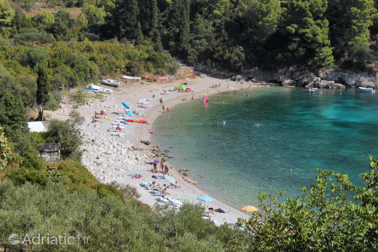 Spiagge nelle vicinanze - Appartamenti con parcheggio Zavalatica, Curzola - Korčula