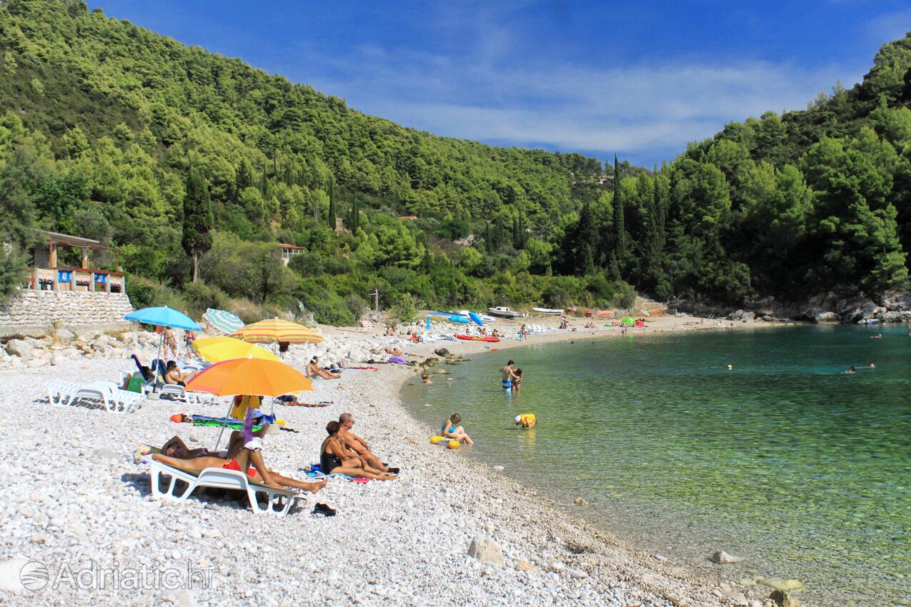 Spiagge nelle vicinanze - Appartamenti con parcheggio Zavalatica, Curzola - Korčula
