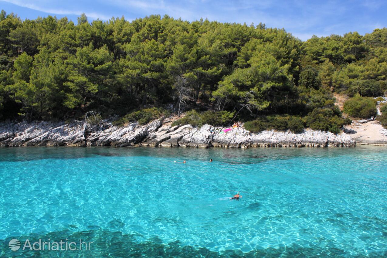 Spiagge nelle vicinanze - Appartamenti con parcheggio Zavalatica, Curzola - Korčula