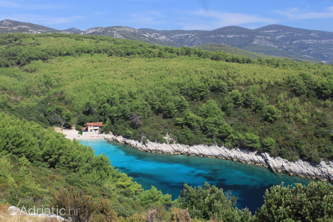 Spiagge nelle vicinanze - Appartamenti con parcheggio Zavalatica, Curzola - Korčula