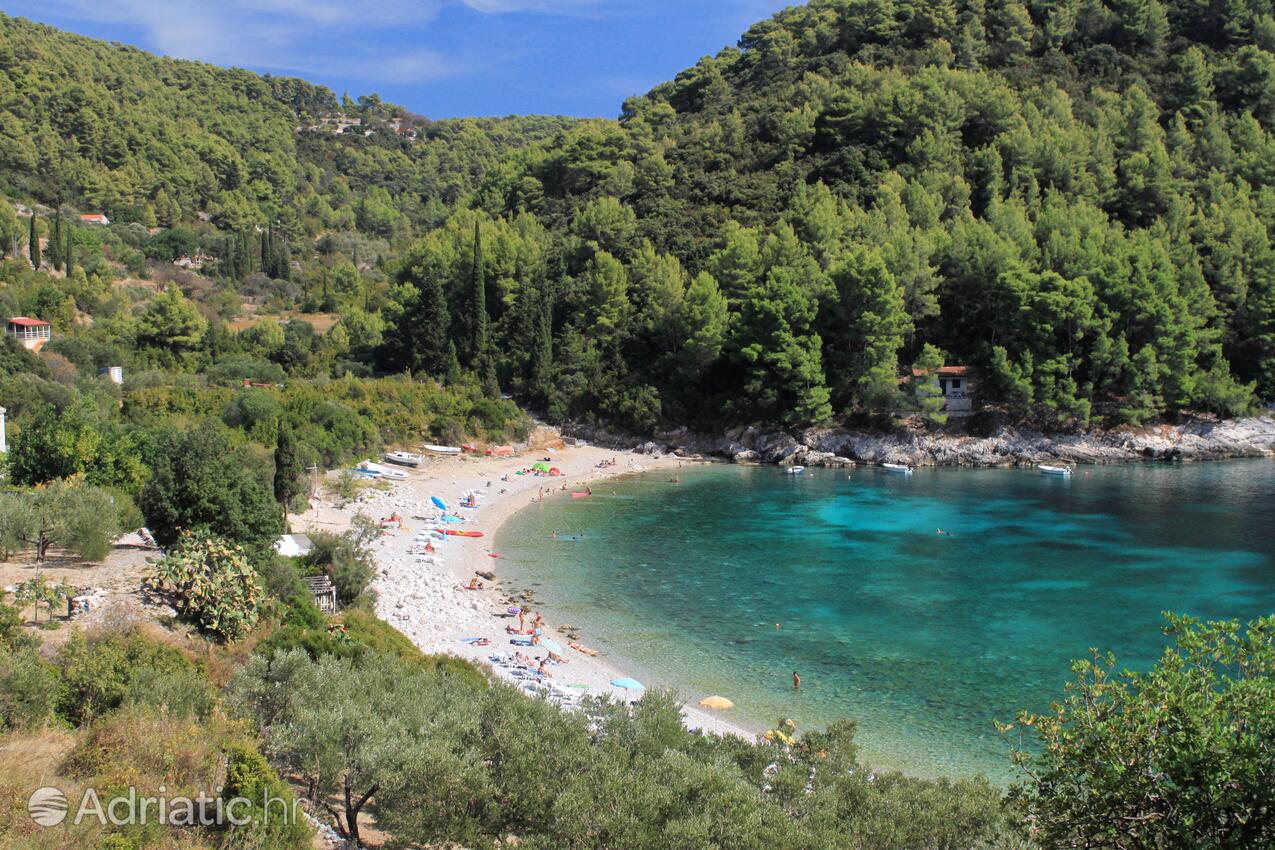 Spiagge nelle vicinanze - Appartamenti con parcheggio Zavalatica, Curzola - Korčula