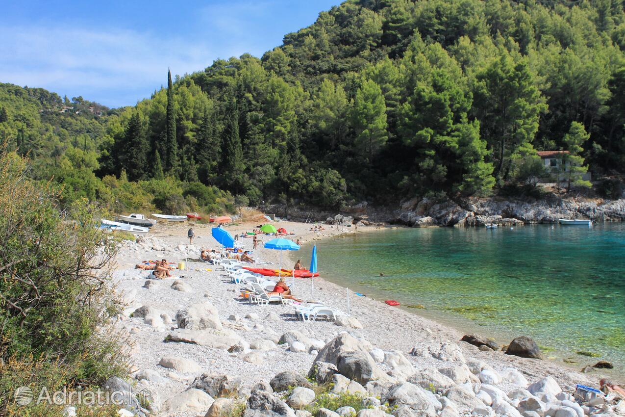 Spiagge nelle vicinanze - Appartamenti con parcheggio Zavalatica, Curzola - Korčula