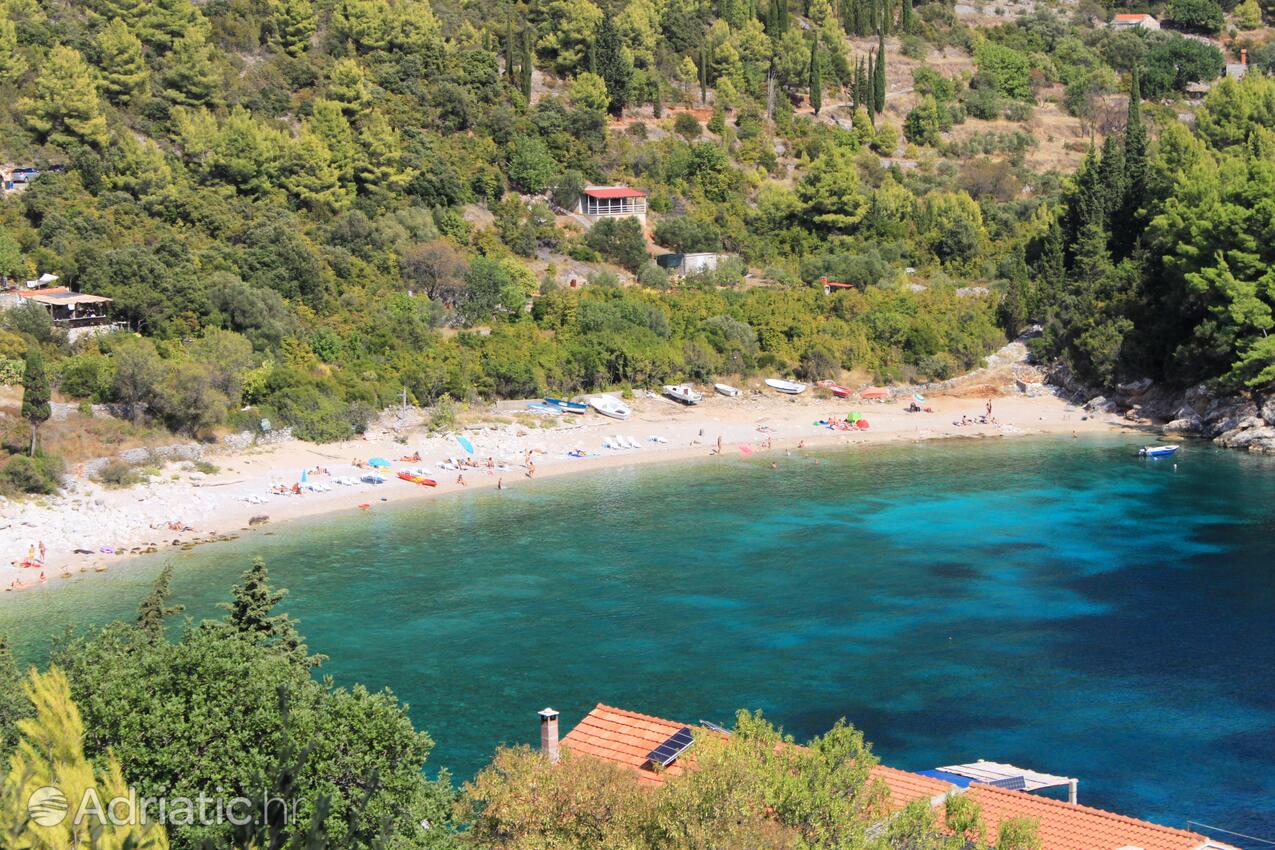 Spiagge nelle vicinanze - Appartamenti con parcheggio Zavalatica, Curzola - Korčula