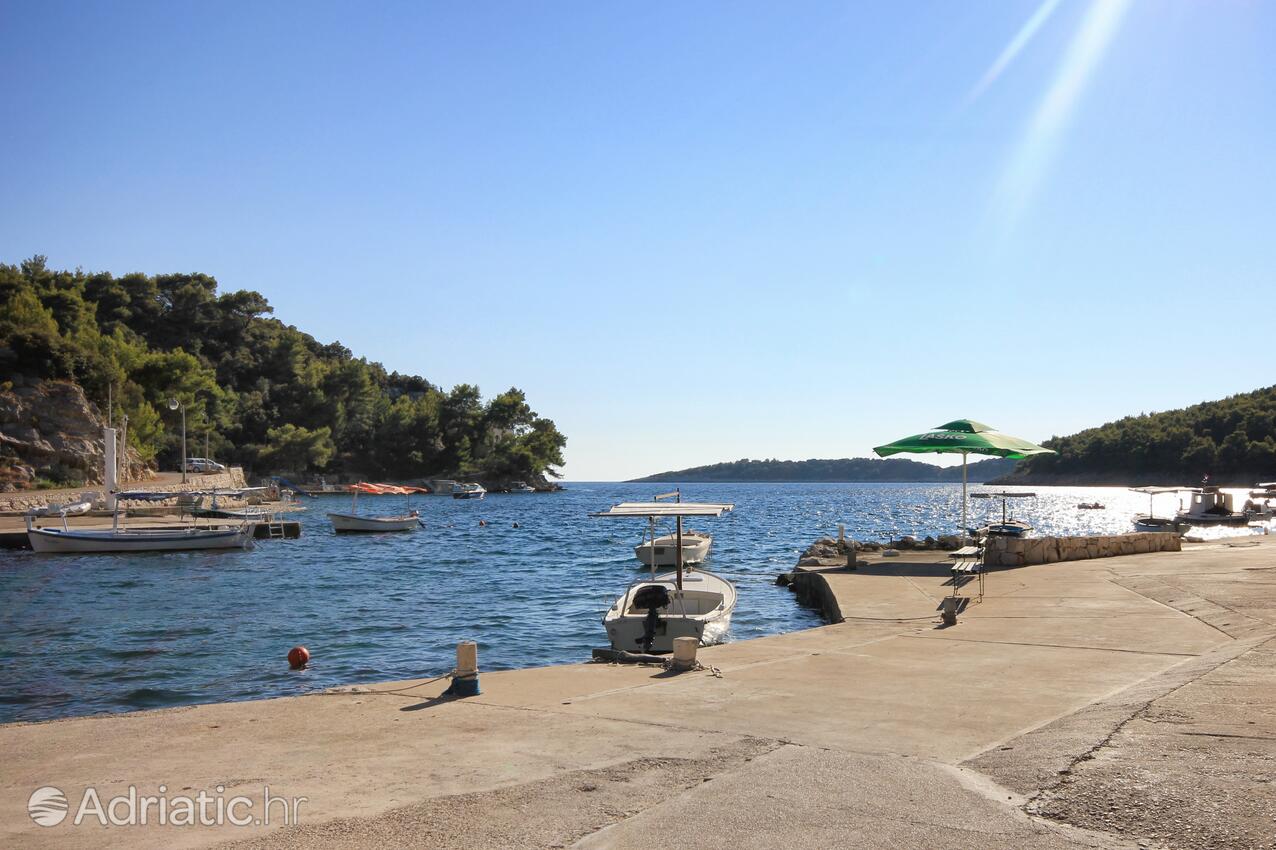 Gršćica sur l’île Korčula (Južna Dalmacija)