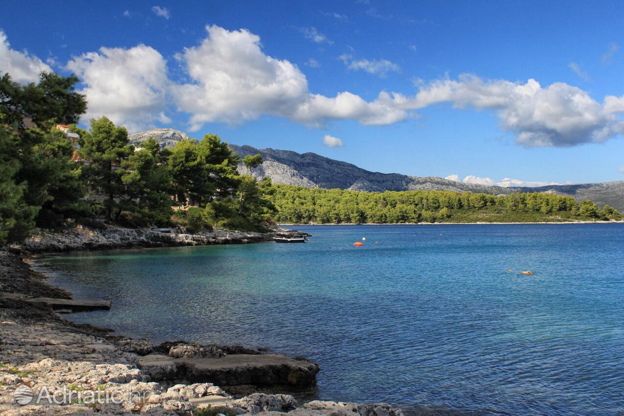 Lumbarda op de route Korčula (Južna Dalmacija)