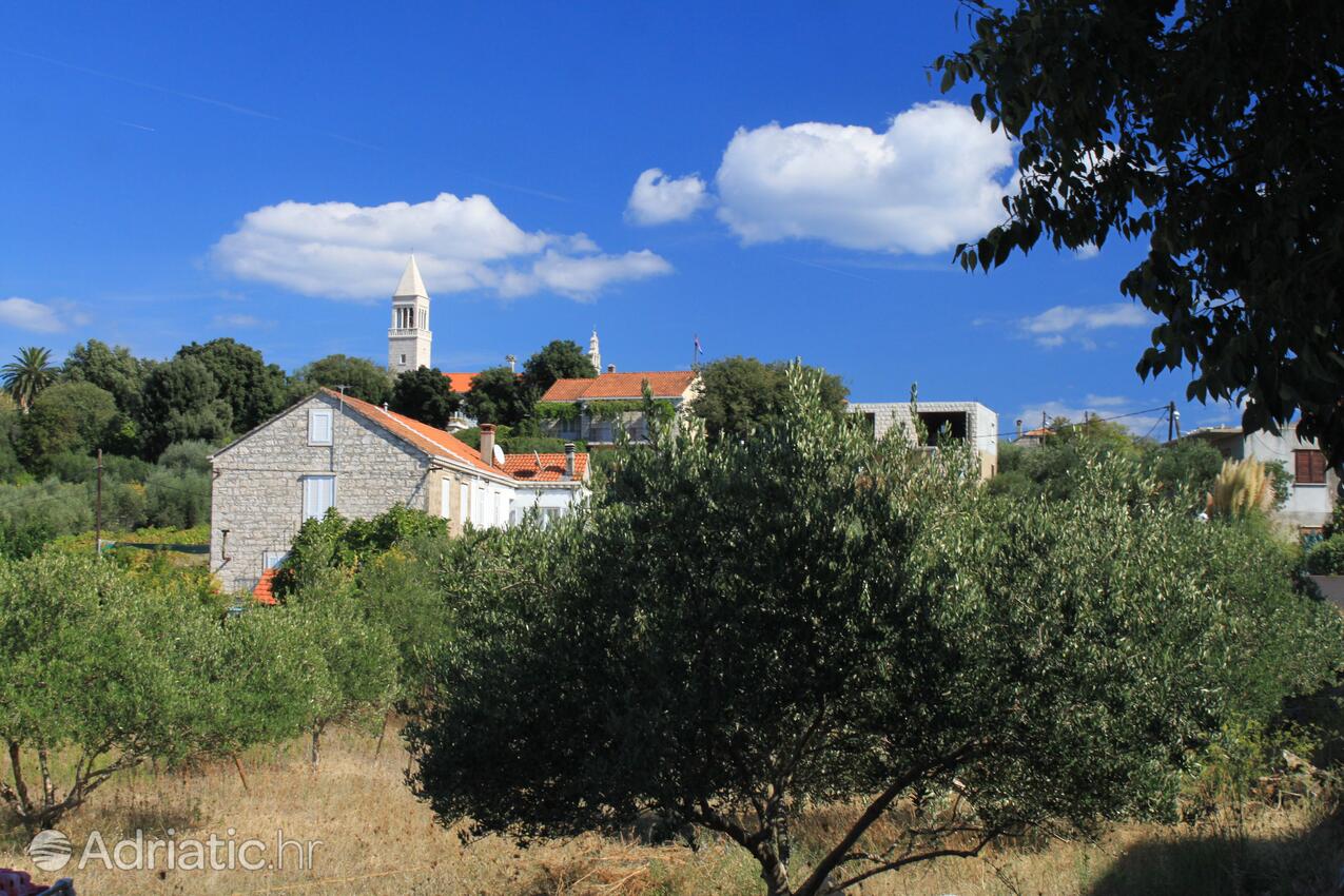 Lumbarda op de route Korčula (Južna Dalmacija)