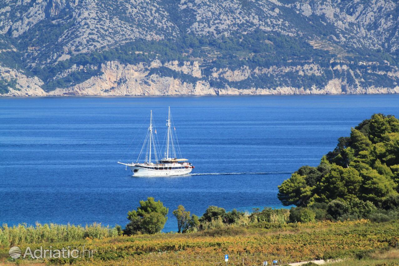 Lumbarda op de route Korčula (Južna Dalmacija)