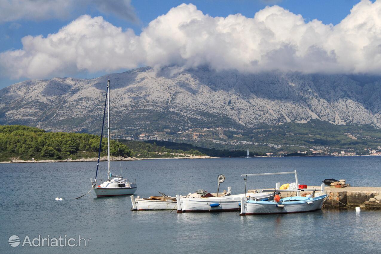 Lumbarda op de route Korčula (Južna Dalmacija)