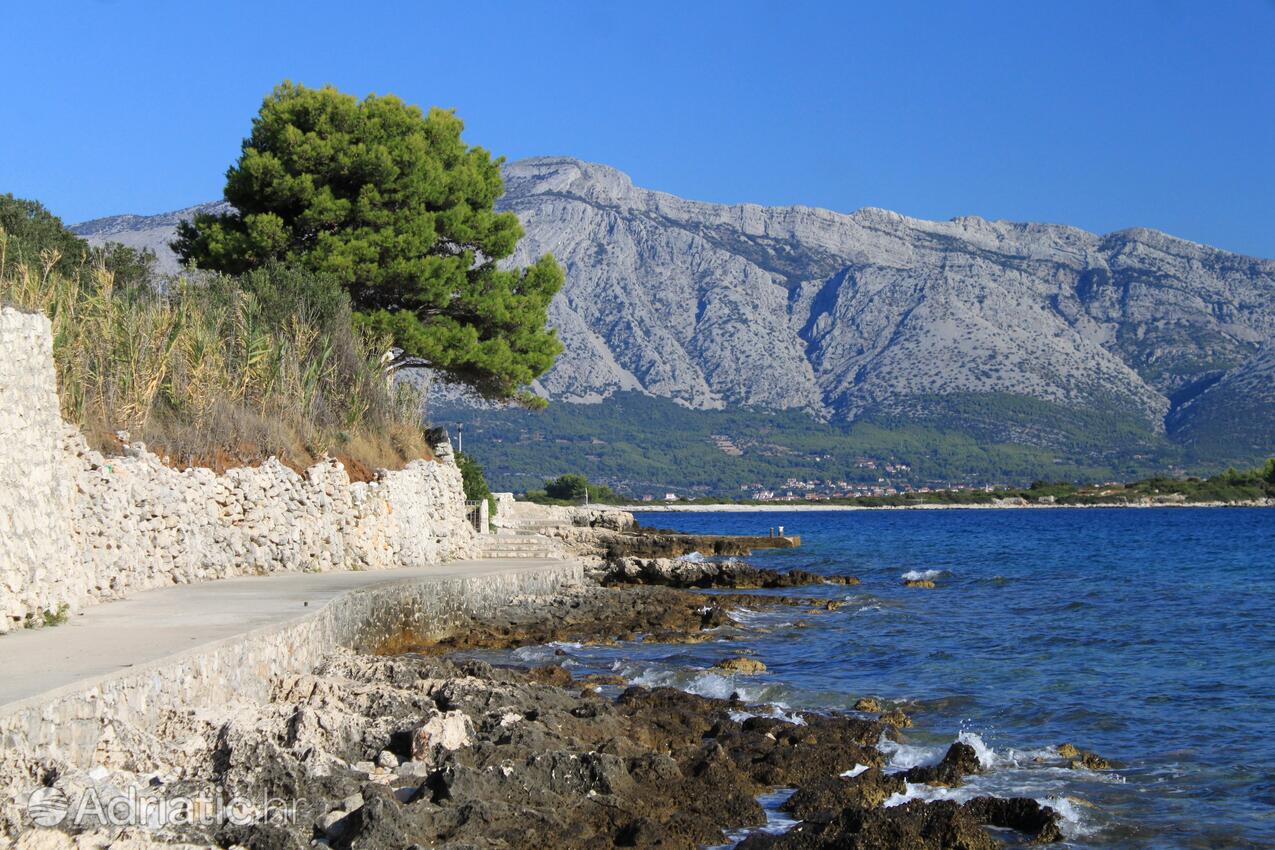 Lumbarda op de route Korčula (Južna Dalmacija)