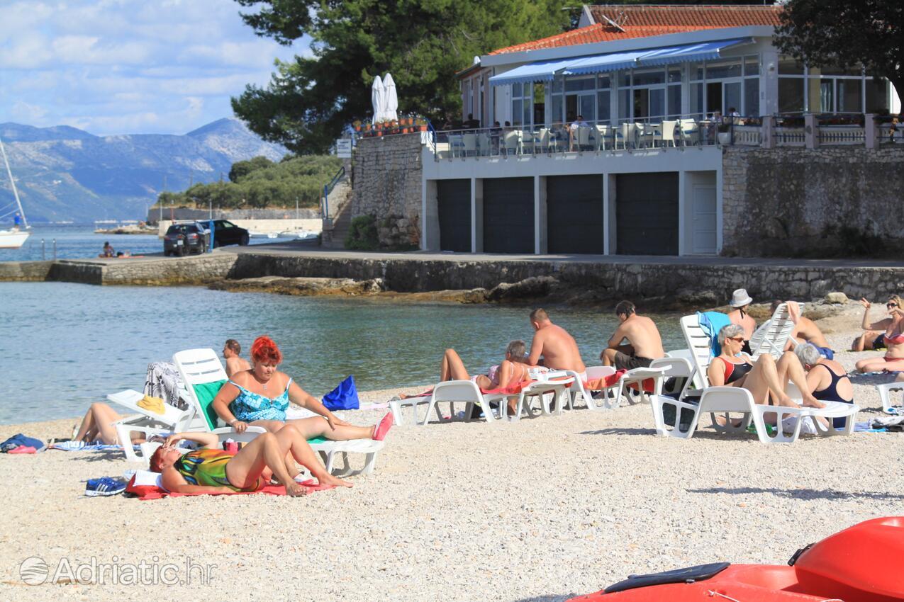 Nearby beaches - Apartments by the sea Lumbarda, Korčula