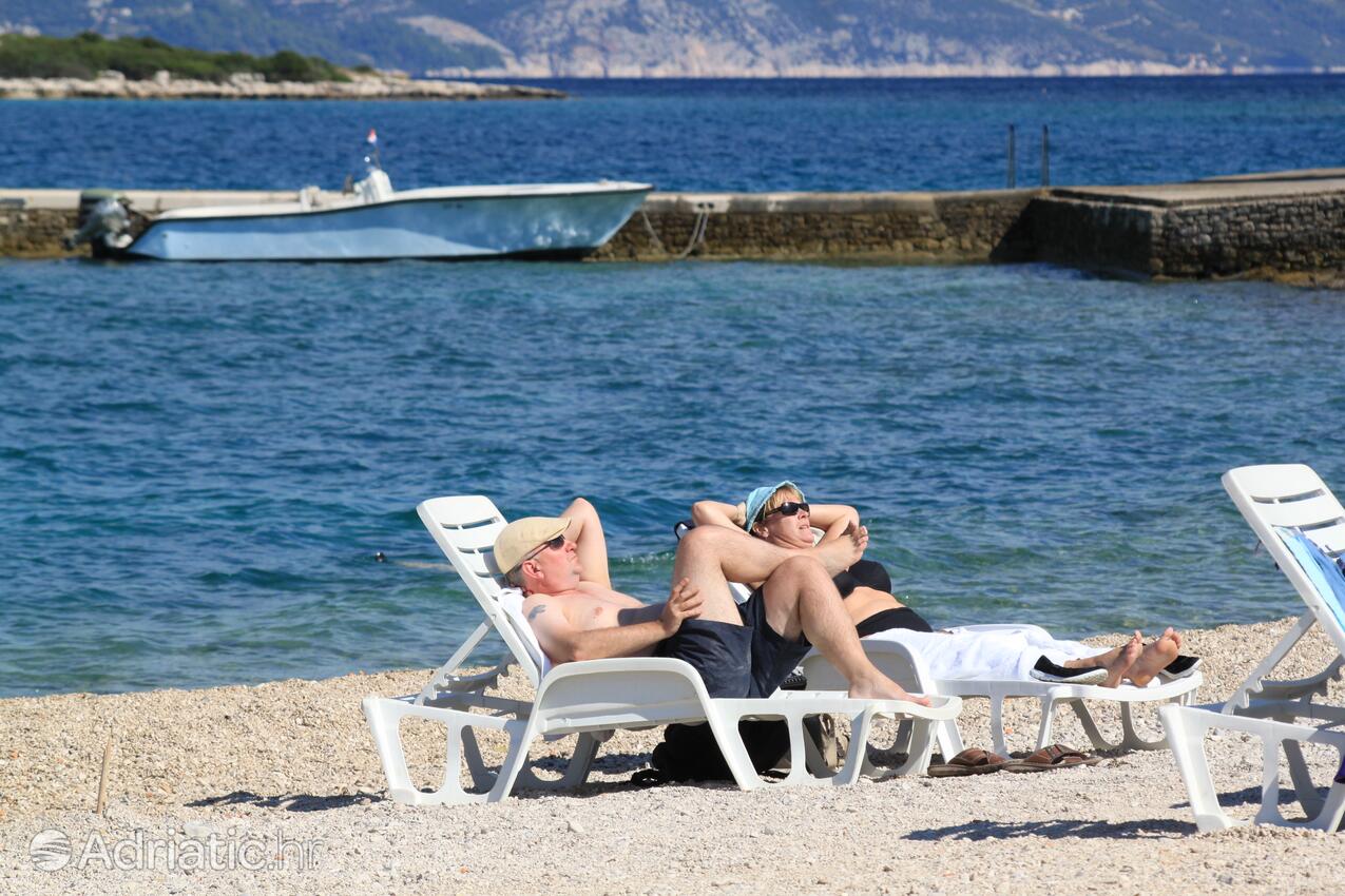 Nearby beaches - Apartments by the sea Lumbarda, Korčula