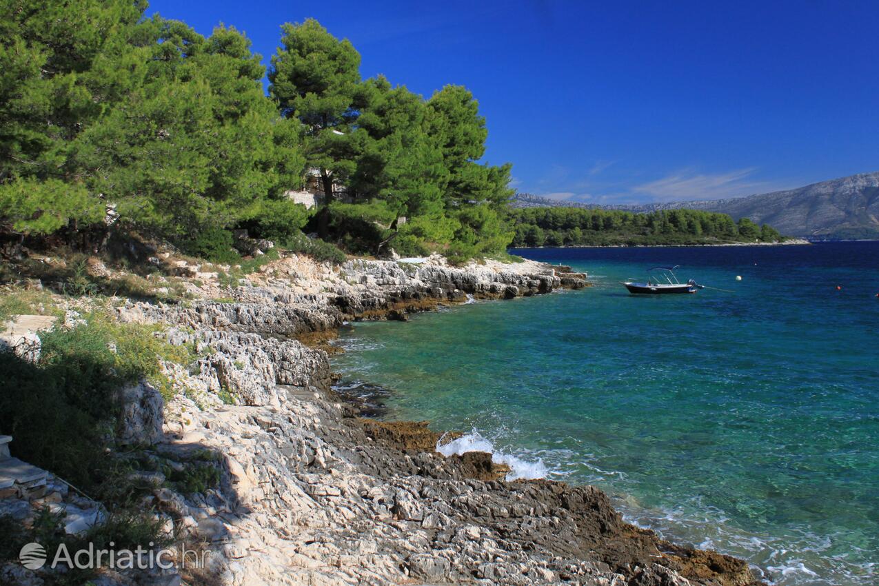 Nearby beaches - Apartments by the sea Lumbarda, Korčula