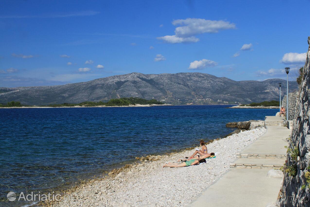 Nearby beaches - Apartments by the sea Lumbarda, Korčula