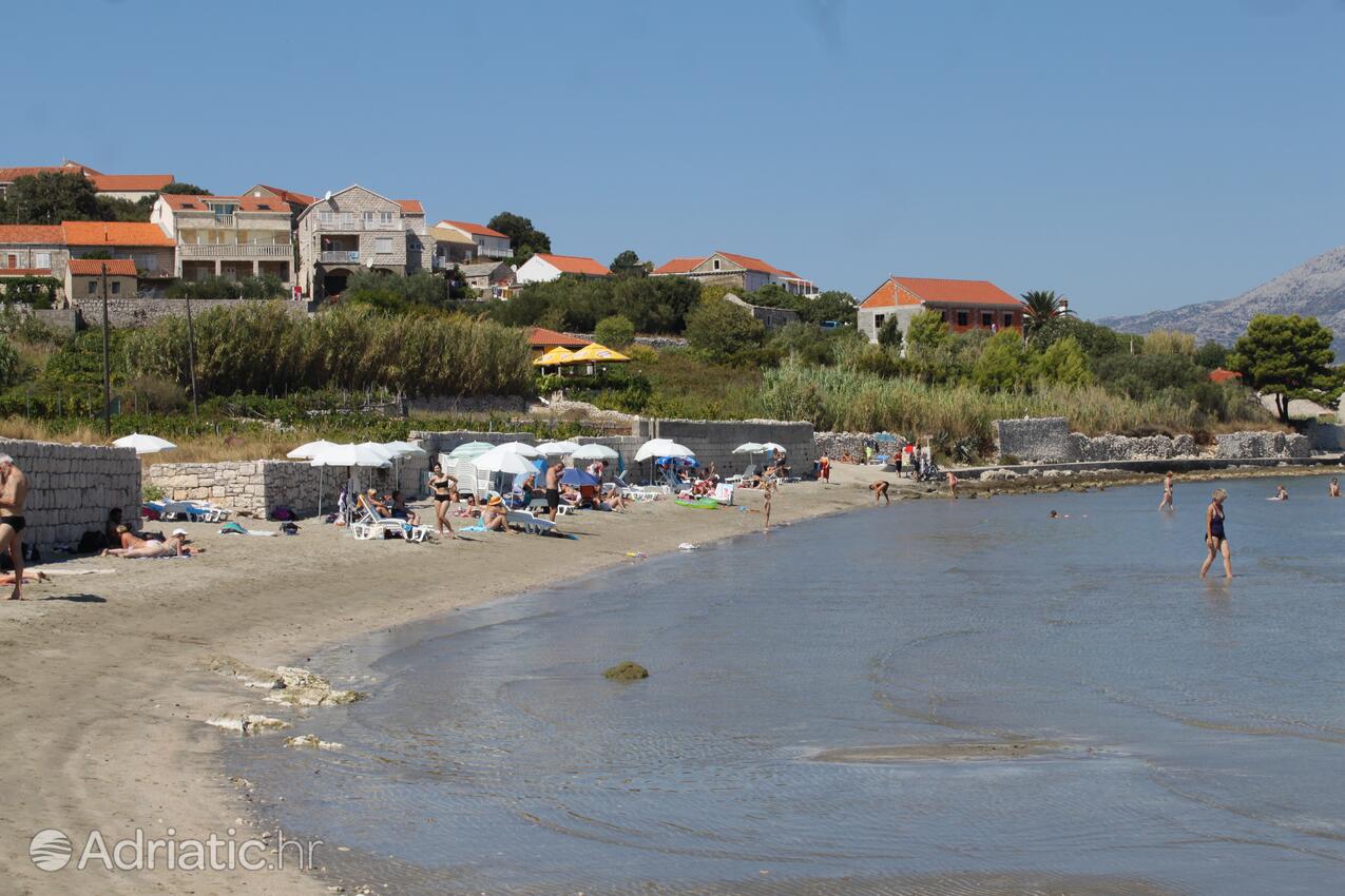 Nearby beaches - Apartments by the sea Lumbarda, Korčula