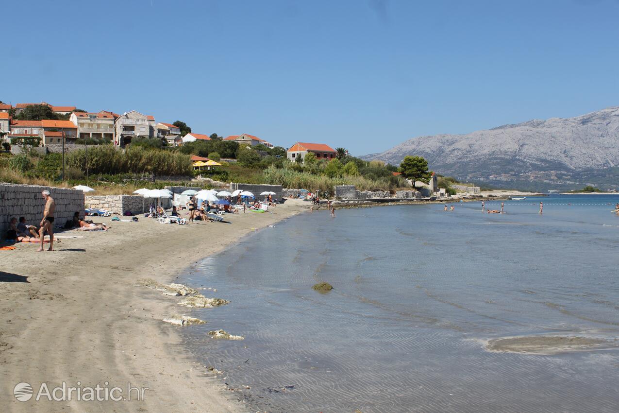 Nearby beaches - Apartments by the sea Lumbarda, Korčula