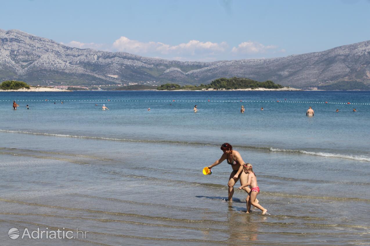 Nearby beaches - Apartments by the sea Lumbarda, Korčula