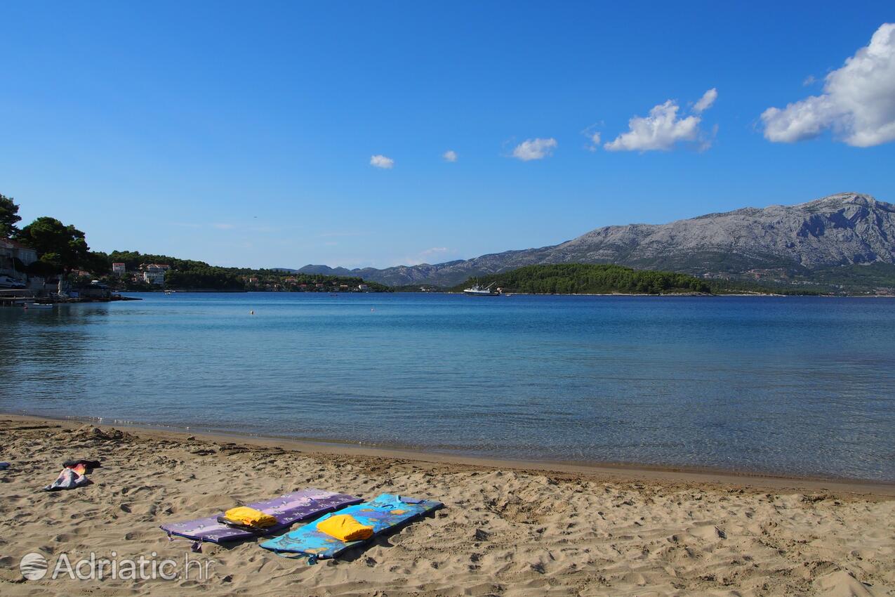Nearby beaches - Apartments by the sea Lumbarda, Korčula