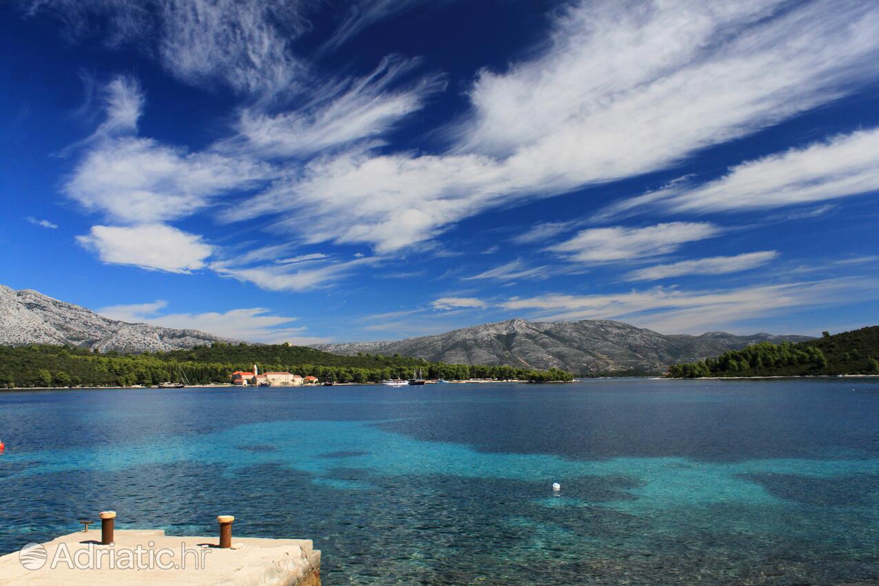 Korčula på otoku Korčula (Južna Dalmacija)