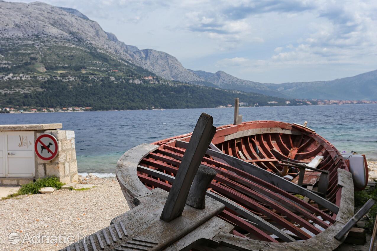 Korčula na otoku Korčula (Južna Dalmacija)