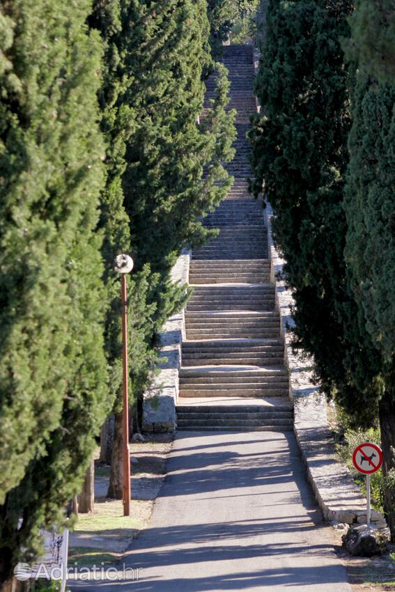 Korčula na otoku Korčula (Južna Dalmacija)