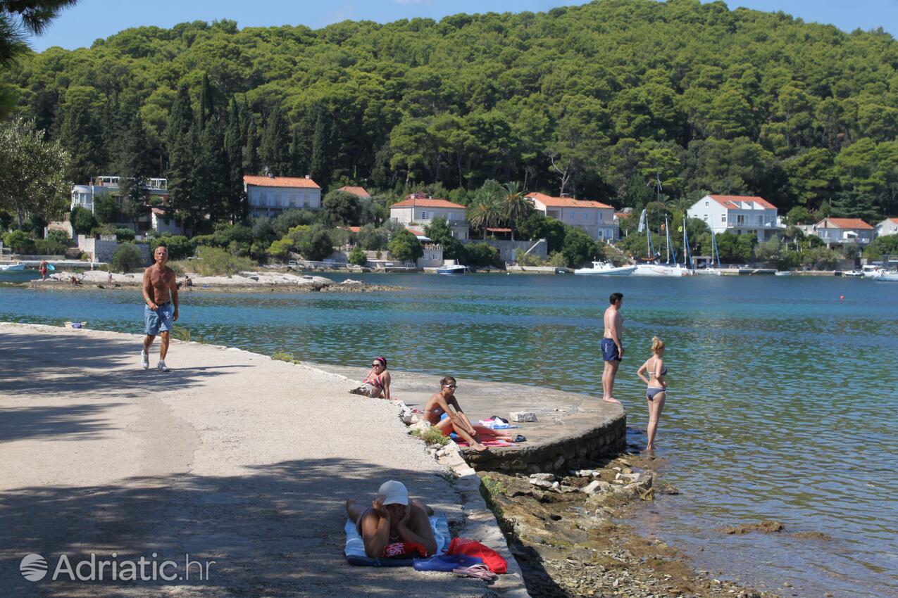 Nearby beaches - Apartments by the sea Korčula