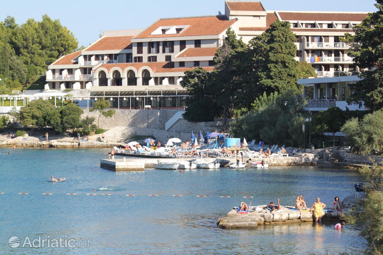 Nearby beaches - Apartments by the sea Korčula