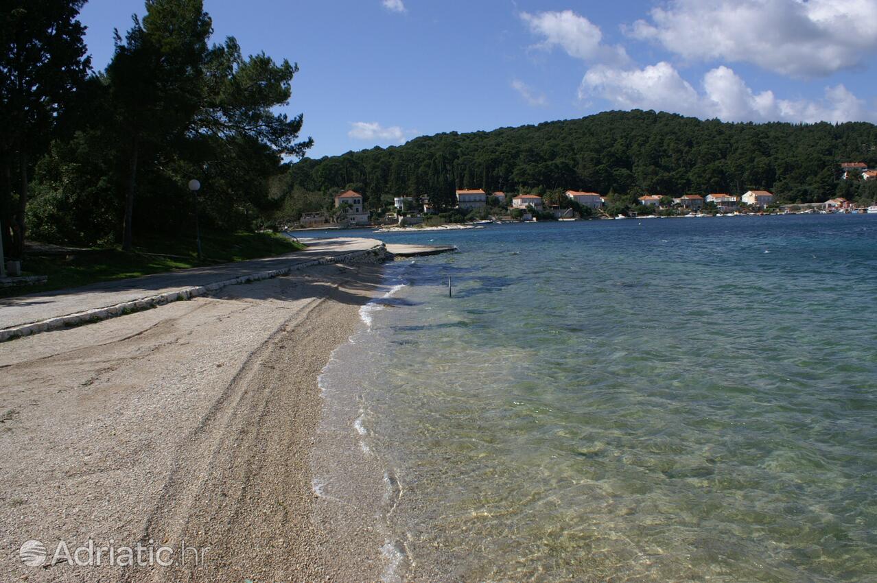 Nearby beaches - Apartments by the sea Korčula