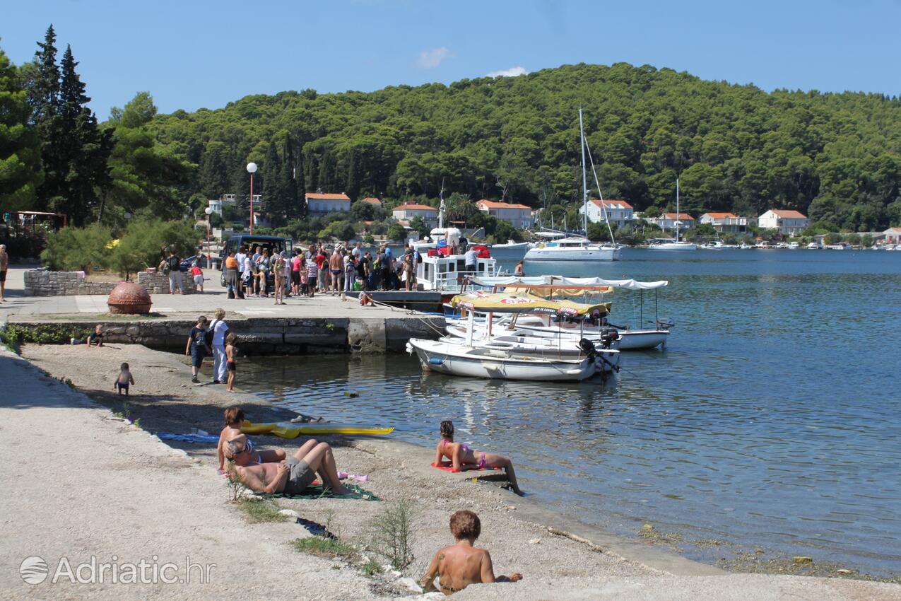 Nearby beaches - Apartments by the sea Korčula