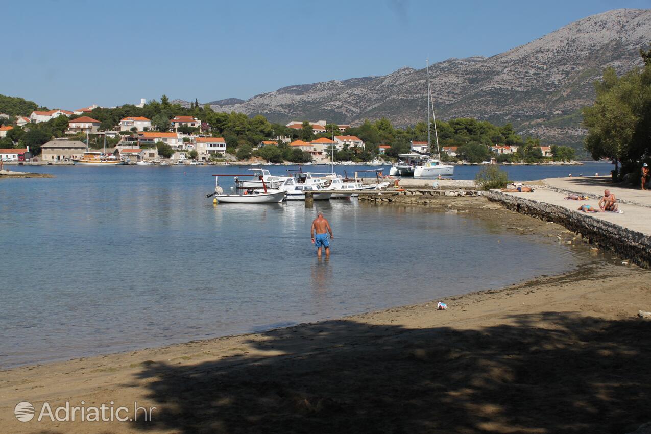 Nearby beaches - Apartments by the sea Korčula