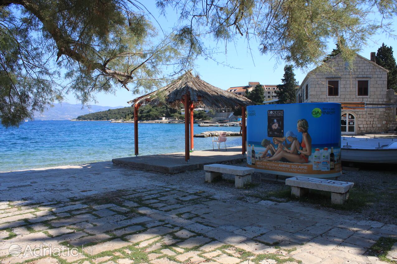 Nearby beaches - Apartments by the sea Korčula