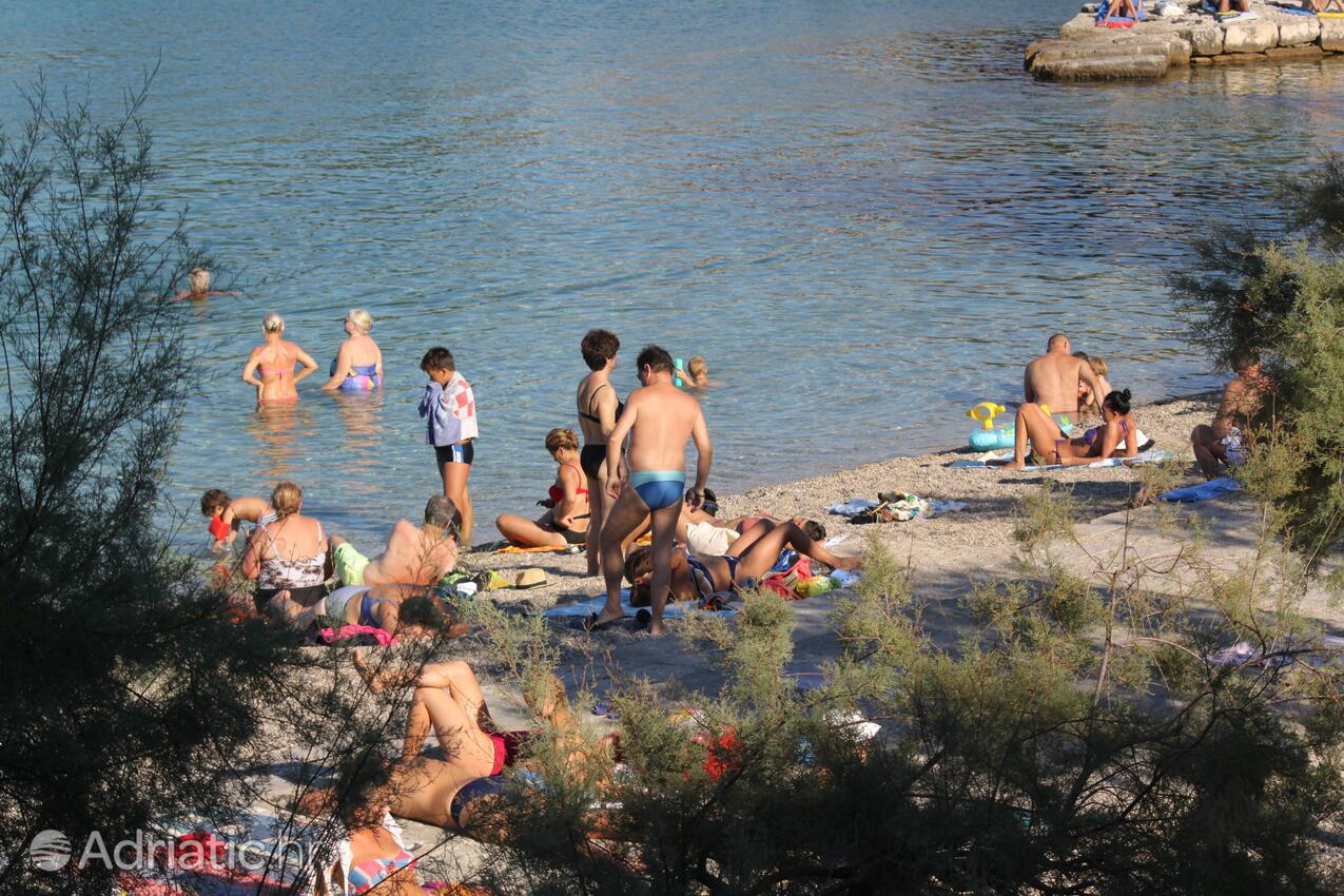 Nearby beaches - Apartments by the sea Korčula