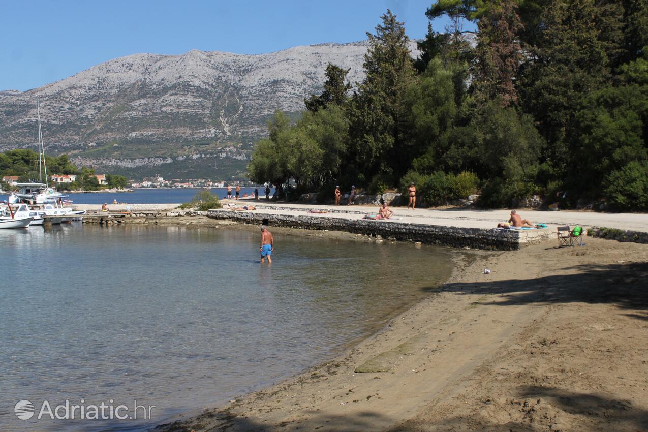 Nearby beaches - Apartments by the sea Korčula