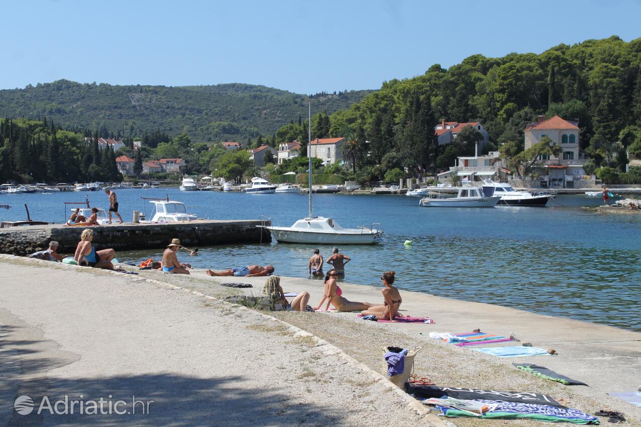 Nearby beaches - Apartments by the sea Korčula