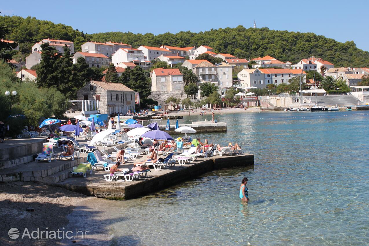 Nearby beaches - Apartments by the sea Korčula
