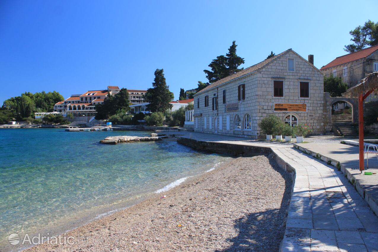 Nearby beaches - Apartments by the sea Korčula