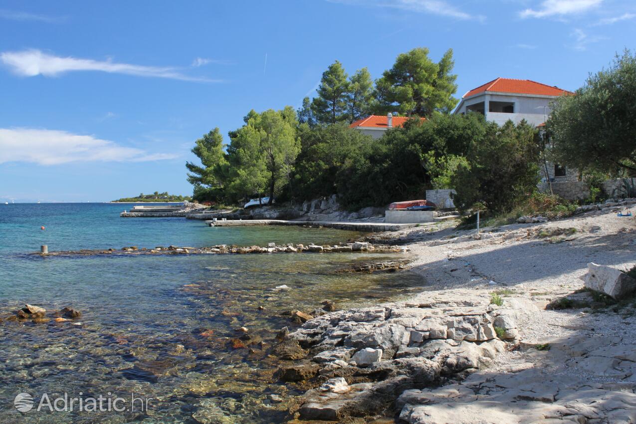 Nearby beaches - Apartments by the sea Korčula