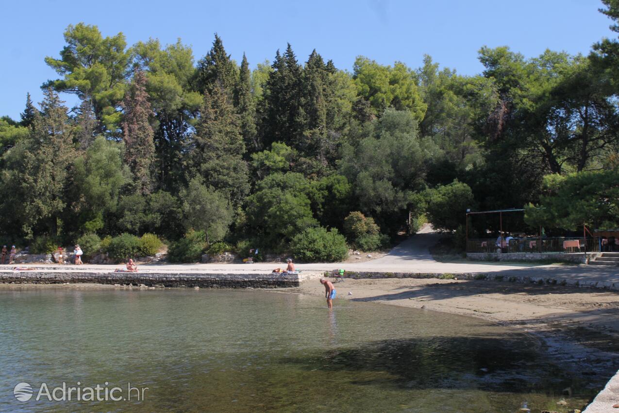 Nearby beaches - Apartments by the sea Korčula