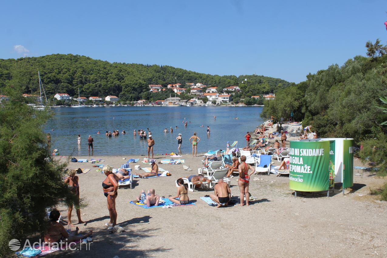 Nearby beaches - Apartments by the sea Korčula