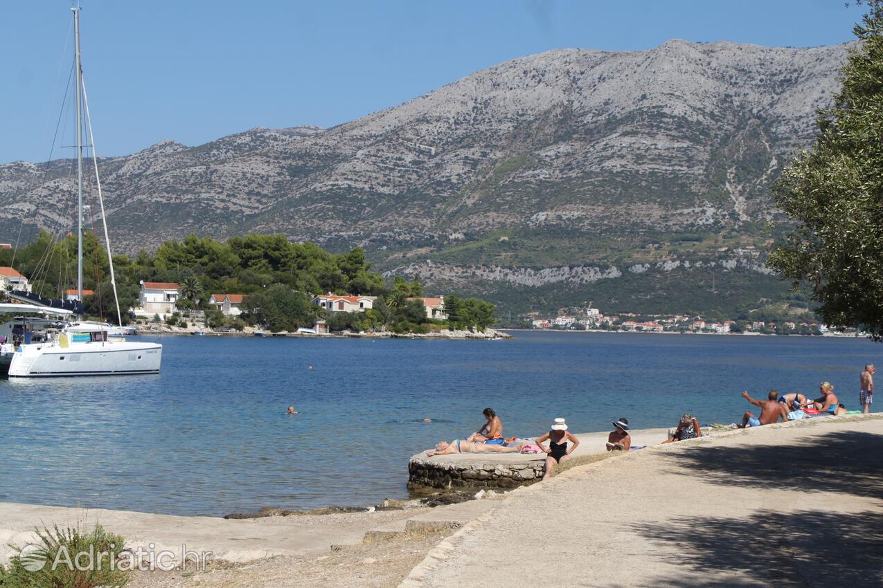 Nearby beaches - Apartments by the sea Korčula