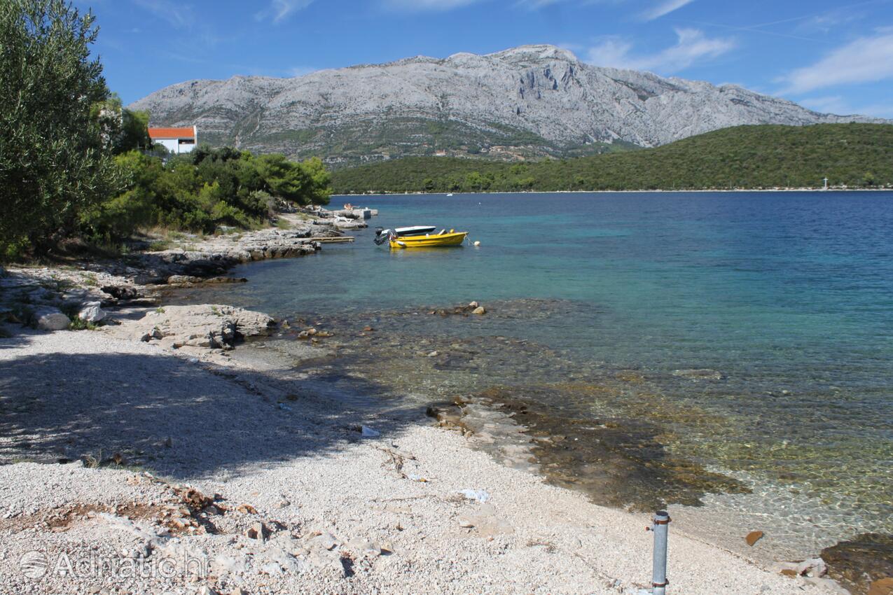 Nearby beaches - Apartments by the sea Korčula