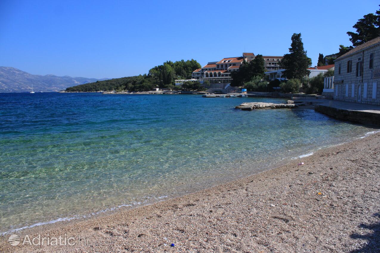 Nearby beaches - Apartments by the sea Korčula