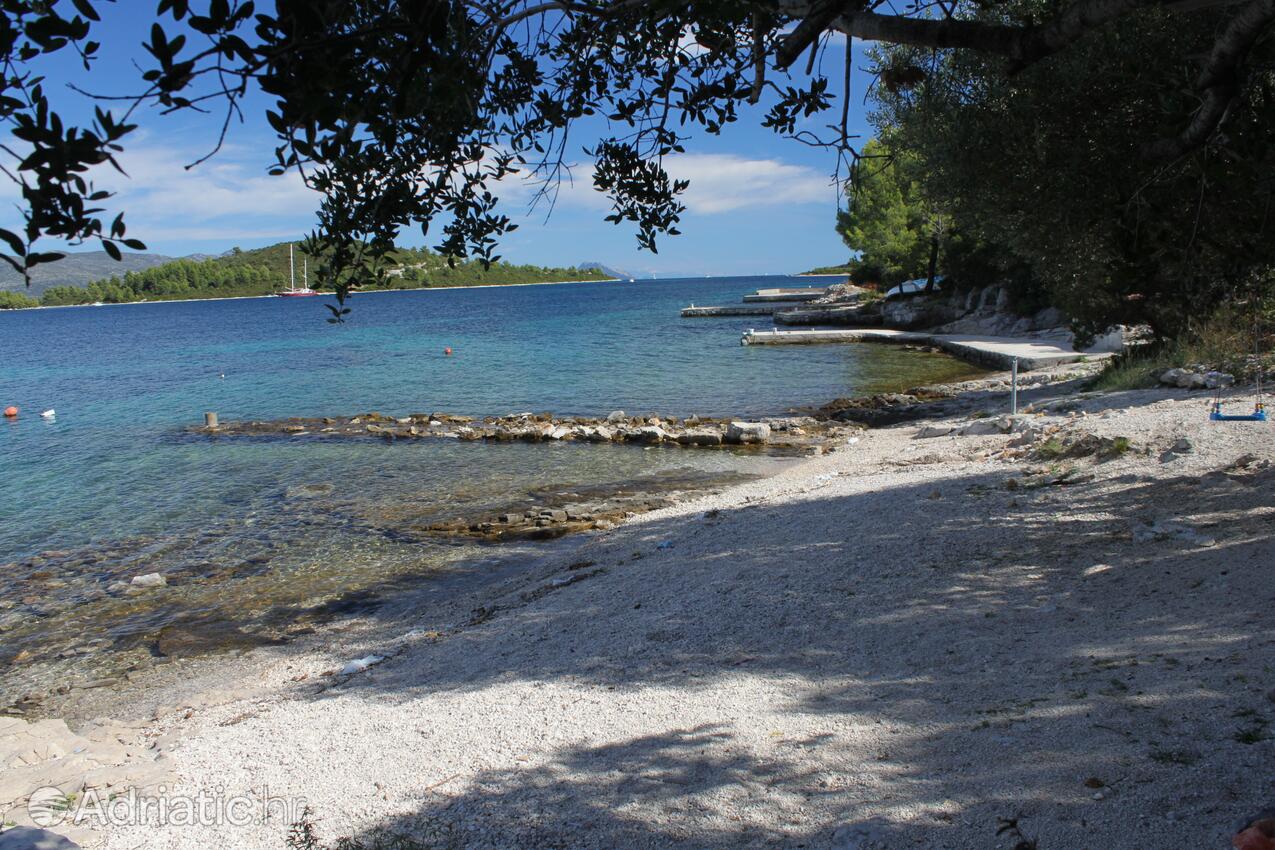 Nearby beaches - Apartments by the sea Korčula
