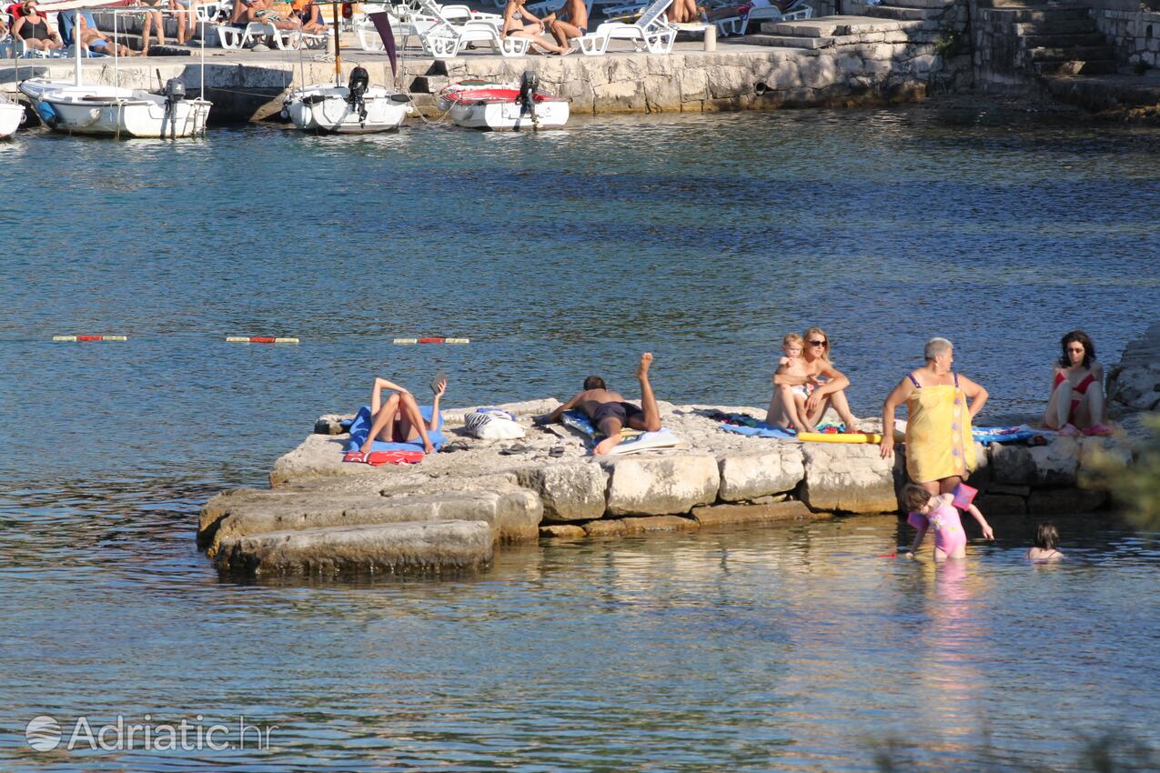 Nearby beaches - Apartments by the sea Korčula