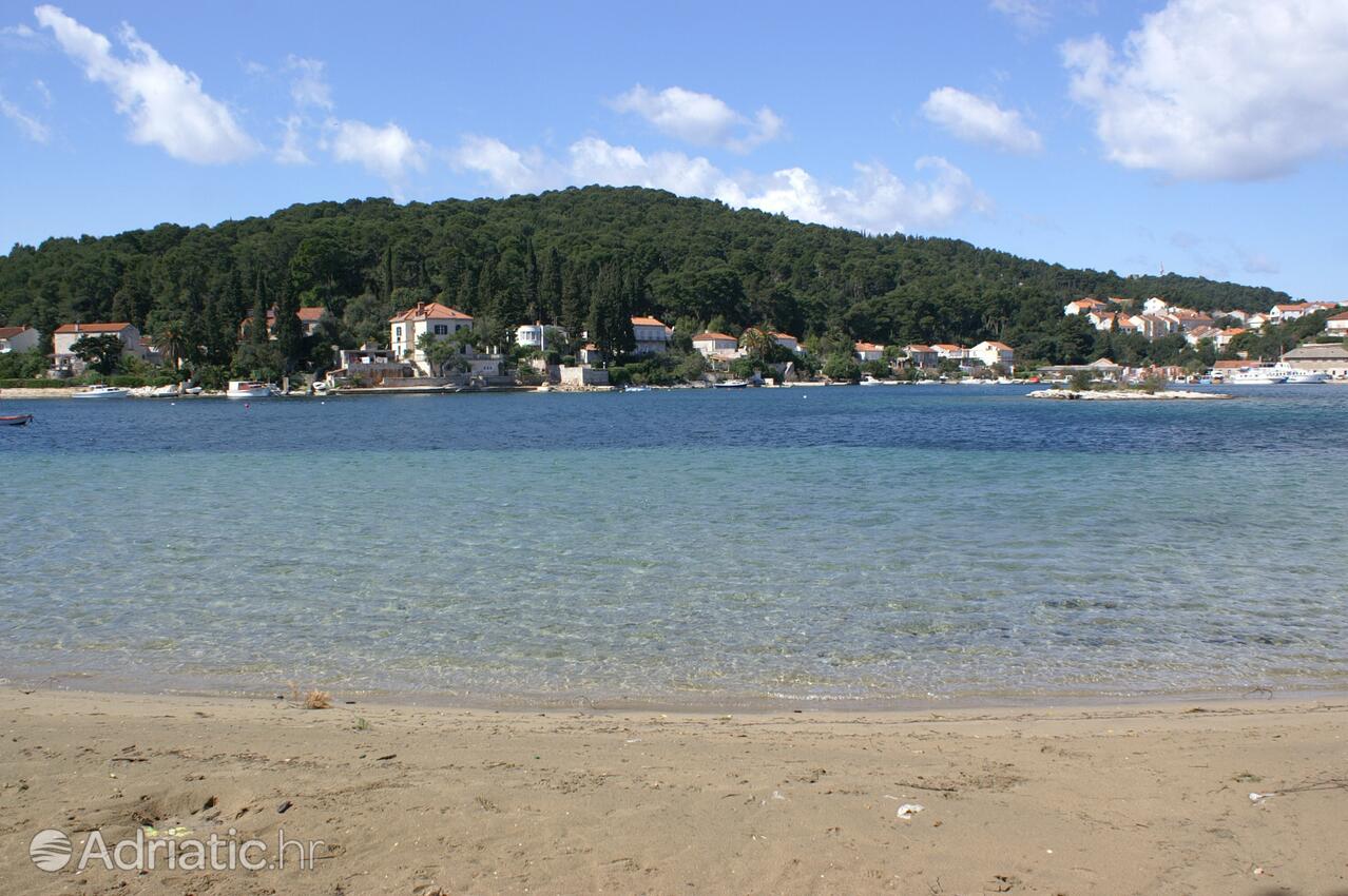 Nearby beaches - Apartments by the sea Korčula