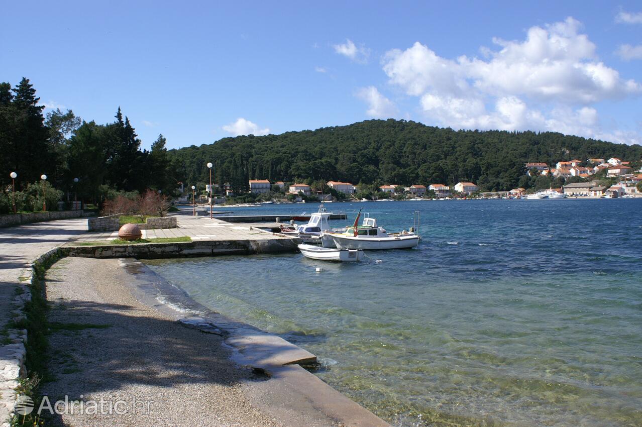 Nearby beaches - Apartments by the sea Korčula