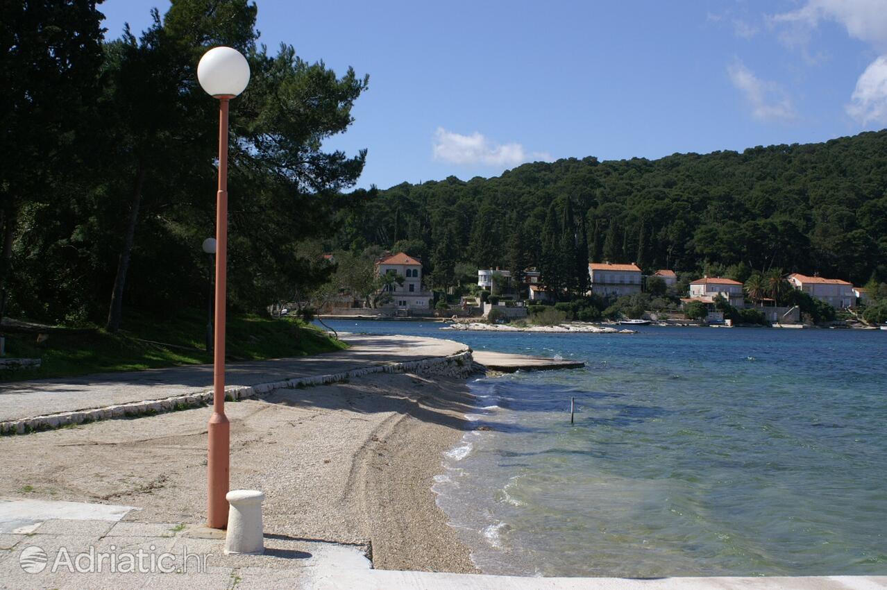 Nearby beaches - Apartments by the sea Korčula