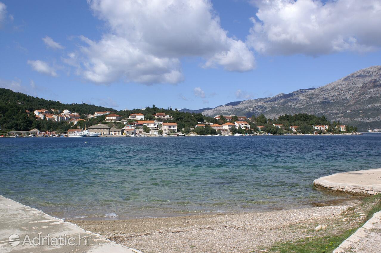 Nearby beaches - Apartments by the sea Korčula